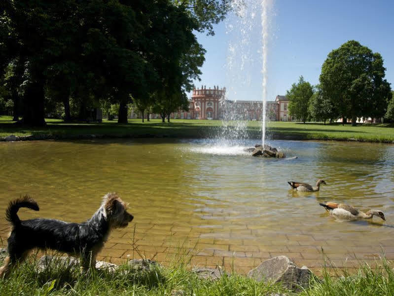 Hotel Am Schlosspark , Wiesbaden Esterno foto